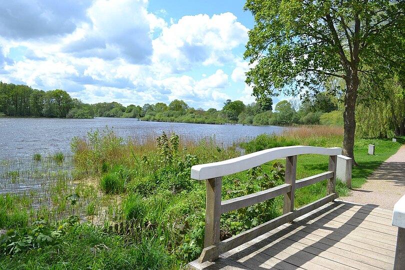 Großzügiges Anwesen auf parkähnlichem Grundstück im schönen Mühbrook am Einfelder See